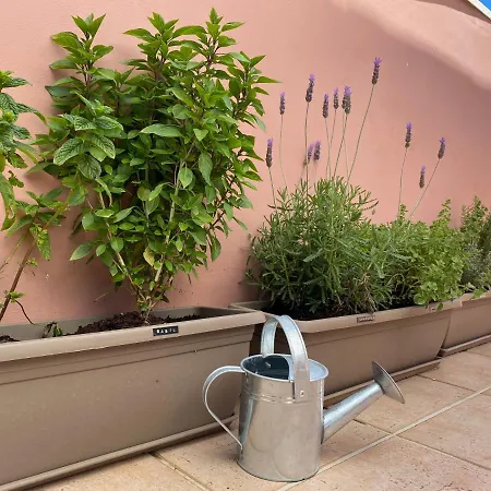 Icarus Loft Old Town Rooftop Terrace