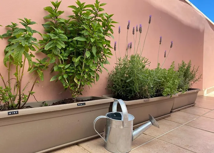 Icarus Loft Old Town Rooftop Terrace